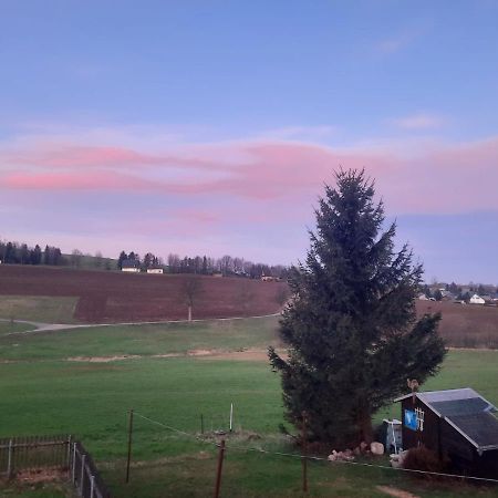 Ferienwohnung Wiesenblick In Seiffen Esterno foto