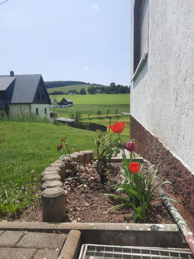 Ferienwohnung Wiesenblick In Seiffen Esterno foto